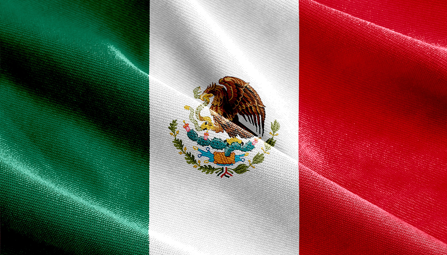 Mexican Flag